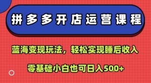 拼多多开店运营课程:蓝海变现玩法,轻松实现睡后收入,零基础小白也可日入5张-阳知网创资源库