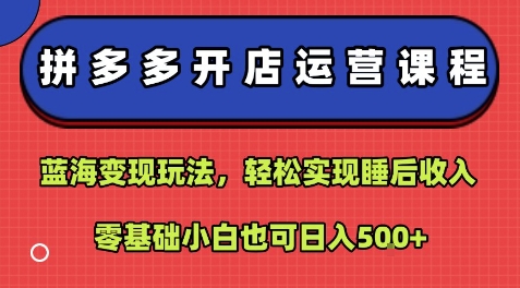拼多多开店运营课程:蓝海变现玩法,轻松实现睡后收入,零基础小白也可日入5张-阳知网创资源库