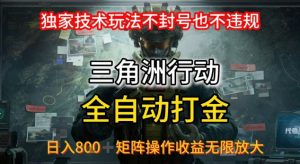 三角洲最新全自动G机,独家技术玩法,不封号也不违规, 日入8张+可矩阵操作,收益无限放大【揭秘】-阳知网创资源库