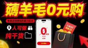 薅羊毛0元购,免单还倒挣钱的暴力玩法,人人可做,纯干货-阳知网创资源库