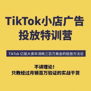 TikTok小店广告投放特训营，6天破局计划专治各种“投不动”，教你经过月销百万验证的实战干货-阳知网创资源库