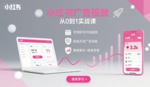 小红书广告投放从0到1的实战课,学完即可开始投放,拒绝无效广告消耗-阳知网创资源库