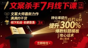 文案杀手7月线下课，​文案大师最新力作，满满的干货-阳知网创资源库