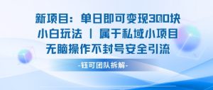 新项目单日即可变现3张的小白玩法无脑操作不封号安全引流-阳知网创资源库