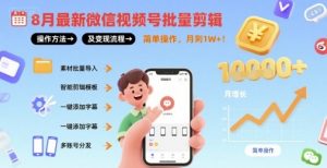 8月最新微信视频号批量剪辑操作方法及变现流程，简单操作，月入1w+-阳知网创资源库