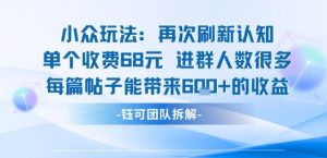 小众玩法再次刷新认知单个收费68米进群人数很多每篇帖子能带来6张的收益-阳知网创资源库
