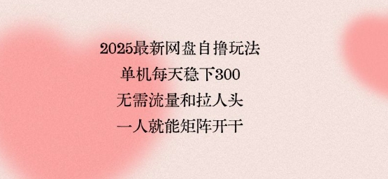 2025最新网盘自撸玩法,单机每天稳下3张,无需流量和拉人头,一个人就可轻松矩阵,全网独一份【揭秘】-阳知网创资源库