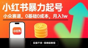 小红书暴力起号,小众赛道,0基础0成本,月入1w-阳知网创资源库
