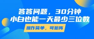 答答问题，30分钟，小白也能一天最少也有三位数，操作简单-阳知网创资源库