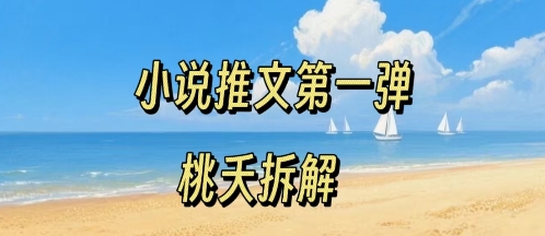 小说推文项目操作全流程第一弹,0粉就能做,门槛低非常适合新手-阳知网创资源库