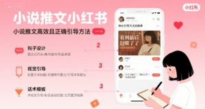 小说推文小红书高转化引导方法实操课,小说推文高效且正确引导方法-阳知网创资源库