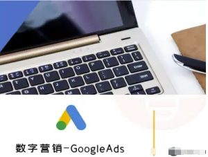 数字营销-GoogleAds-外贸跨境电商教程-阳知网创资源库