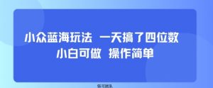 小众蓝海玩法 一天搞了四位数 小白可做 操作简单-阳知网创资源库