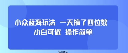 小众蓝海玩法 一天搞了四位数 小白可做 操作简单-阳知网创资源库