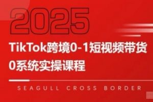 TikTok跨境0-1短视频带货，系统拆解TikTok跨境带货全链路，实现跨境可持续盈利-阳知网创资源库