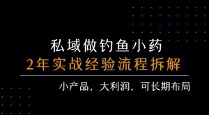 私域做钓鱼小药 每单利润3张+ 详细流程拆解-阳知网创资源库