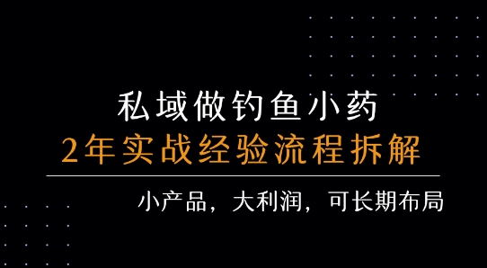 私域做钓鱼小药 每单利润3张+ 详细流程拆解-阳知网创资源库