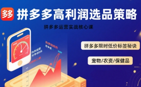 拼多多选品暴利技术实战课,拼多多高利润选品策略,拼多多限时低价标签秘诀-阳知网创资源库