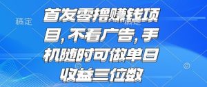 首发零撸挣钱项目 不看广告 手机随时可做 单日收益三位数【揭秘】-阳知网创资源库