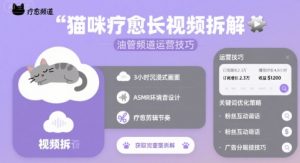 猫咪疗愈长视频拆解 &油管频道运营技巧-阳知网创资源库