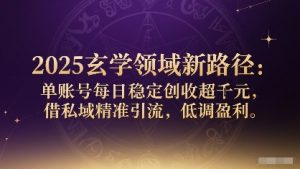 2025玄学领域新路径：单账号每日稳定创收1k+，借私域精准引流，低调盈利-阳知网创资源库