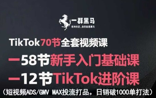 TikTok全套视频课，新手入门+进阶课，短视频ADS-GMV MAX投流打品，日销破1000单打法-阳知网创资源库