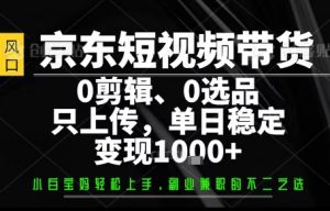 你出账号,我来运营,保底日入1k+,开启躺賺模式【揭秘】-阳知网创资源库