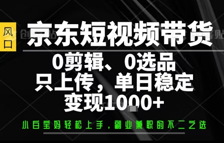 你出账号,我来运营,保底日入1k+,开启躺賺模式【揭秘】-阳知网创资源库