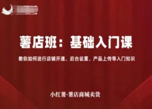 小红薯薯店商城卖货,基础入门课,教你如何进行店铺开通、后台设置、产品上传等入门知识-阳知网创资源库