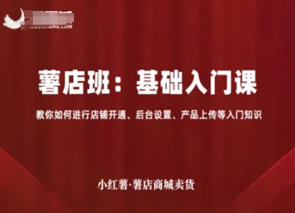 小红薯薯店商城卖货,基础入门课,教你如何进行店铺开通、后台设置、产品上传等入门知识-阳知网创资源库