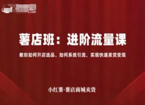 小红薯薯店商城卖货,进阶流量课,教你如何开店选品、如何系统引流,实现快速卖货变现-阳知网创资源库