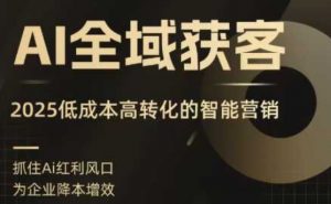 AI全域获客实训营,2025低成本高转化的智能营销,精准找客,高效营销-阳知网创资源库