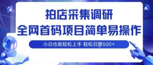 拍店采集调研，全网首码项目，简单易操作， 小白也能轻松上手，多账号操作，轻松日入5张【揭秘】-阳知网创资源库