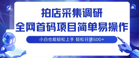 拍店采集调研,全网首码项目,简单易操作, 小白也能轻松上手,多账号操作,轻松日入5张【揭秘】-阳知网创资源库