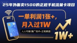 25年外面卖1500的正规手机流量卡项目,一单利润1张+,月入过1W,人人可做(推广技术+正规渠道)【揭秘】-阳知网创资源库
