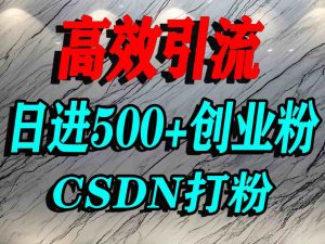 怎么打创业粉?CSDN又一个你不知道的打粉引流神秘平台,单人日引500+精准流量-阳知网创资源库