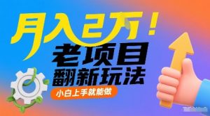 月入2W！老项目翻新玩法，小白上手就能做，非常容易上手-阳知网创资源库