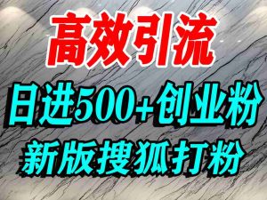 怎么打创业粉？搜狐网打精准创业粉，打粉引流教程，单人日引500+精准创业粉-阳知网创资源库