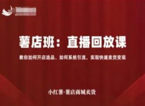 小红薯薯店商城卖货直播回放课，教你如何开店选品、如何系统引流，实现快速卖货变现-阳知网创资源库