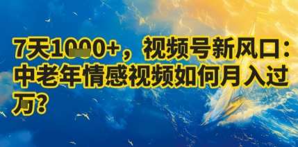 7天收益1k+，视频号新风口：中老年情感视频如何月入过W?-阳知网创资源库