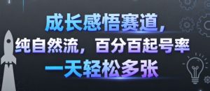 成长感悟赛道，纯自然流，百分百起号率 一天轻松多张-阳知网创资源库