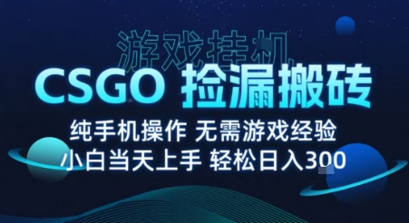 8月最新游戏搬砖,CSGO纯挂G,不需要玩游戏,实现真挂G,月入1W+【揭秘】-阳知网创资源库