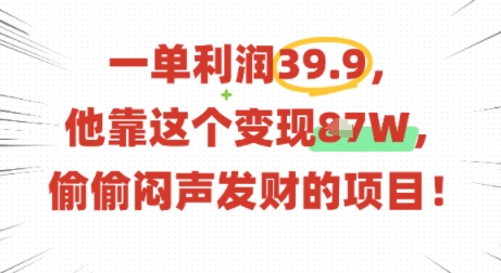一单利润39.9，有人靠这个变现几十个，偷偷闷声发财的项目-阳知网创资源库