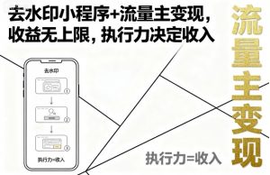 去水印小程序+流量主变现，收益无上限，执行力决定收入-阳知网创资源库