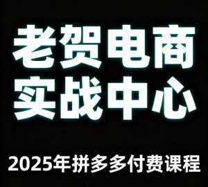 老贺电商2025年拼多多付费课程，用通俗易懂的方法告诉你多多怎么玩-阳知网创资源库