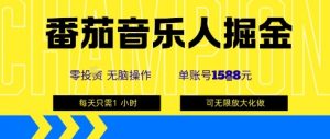 番茄音乐人掘金，单账号最高可撸1k+，可无限矩阵去做，零投入-阳知网创资源库