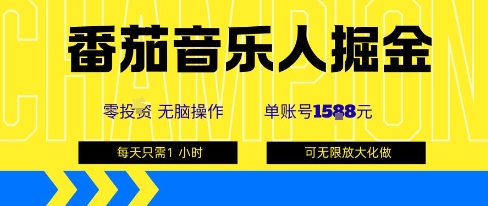番茄音乐人掘金,单账号最高可撸1k+,可无限矩阵去做,零投入-阳知网创资源库