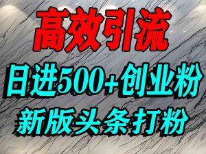 今日头条打创业粉,一篇文章就能引流几百个精准创业粉,日进500+精准流量-阳知网创资源库