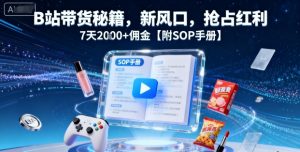 B站带货秘籍，新风口，抢占红利，7天2k+佣金【附SOP手册】-阳知网创资源库