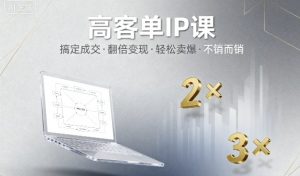 高客单IP课,搞定成交,搞定高客单IP,翻倍变现,轻松卖爆,不销而销-阳知网创资源库